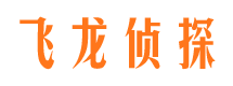 弋江侦探公司